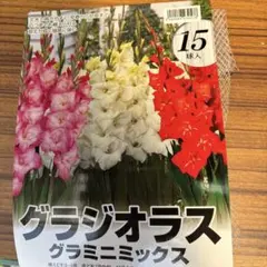 momoe9010様 リクエスト 2点 まとめ商品