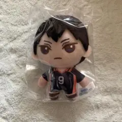 ハイキュー‼︎ セガラッキーくじ B賞 ぬいぐるみマスコット 影山飛雄