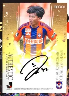 Item thumbnail for item 94e4bae6-2261-4c14-88c7-633302be1b77