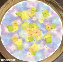 Item thumbnail for item 63f1498f-b612-4679-8f25-7ec579ed7333