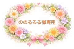 ののるるる様専用ページ　導入美容液　４本セット