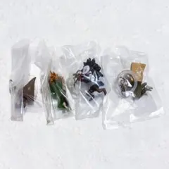 Item thumbnail for item 186a34e9-bacf-42fd-9abd-76c25c6a8cb4