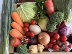 京丹後産野菜詰め合わせコンパクトBOX送料込みのサムネイル