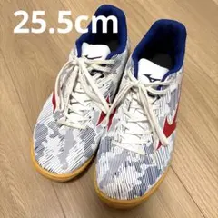 ★25.5cm★MIZUNO ミズノ　フットサル　シューズ バドミントン　屋内用のサムネイル