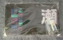 乃木坂46 瀬戸口心月 41st アンダー ライブ グッズのセットと