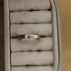 Item thumbnail for item 407c3542-c636-4208-b69a-3cb5dfcea0c9