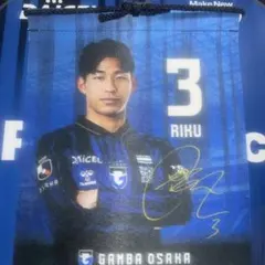 Item thumbnail for item 8d1e82d9-0242-4b27-a1d9-9e2a5c68b158