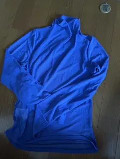 シアータートルネックトップス