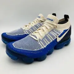 NIKE AIR VAPORMAX FLYKNIT 2 ブルー クリーム 29