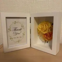 Item thumbnail for item 24d04d80-a44a-42bf-8106-45061e4cae9e