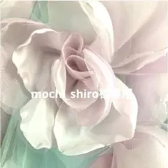 mochi_shiro様専用　ポケットティッシュケース