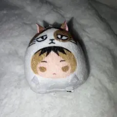 ハイキュー　てのりんず　孤爪研磨