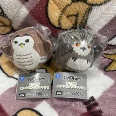 2026年最新】赤葦フクロウマスコットの人気アイテム - メルカリ