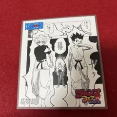 アニメイト　ジャンプフェア2025 ミニ色紙　HUNTER×HUNTER