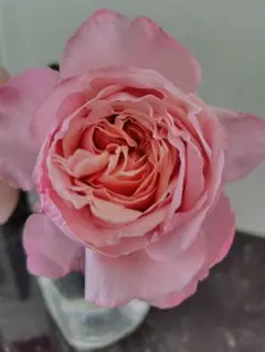 Kazuko☆様 リクエスト 2点 まとめ商品