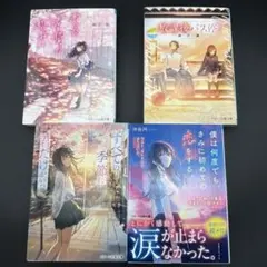 青春・感動小説まとめ売り 切ない恋愛系 いぬじゅん 櫻いいよ - メルカリ