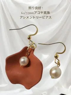 ⑫照り良好 6.2/7.7mm アコヤ真珠 アシンメトリーピアス 本真珠