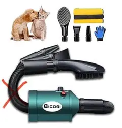 Item thumbnail for item 4581441d-635f-4221-a9e8-1b7e2043eaff