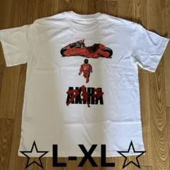 ハリウッドザコシショウ「珍棒の拳2」 tシャツ - メルカリ