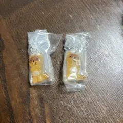 ノンタン めじるしアクセサリー2 たぬきさん