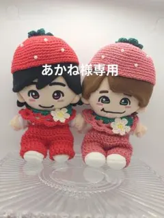 あかね様専用出品はぴぬい服