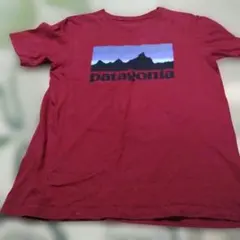 Patagonia TシャツメンズXS 、レディースL