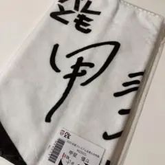 Item thumbnail for item 4736b83d-1a1b-4a49-ab66-c7ac9a09b6c3