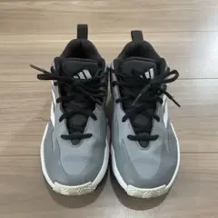 バッシュ