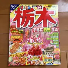 栃木 宇都宮 日光 那須 旅行ガイド 24