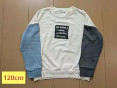 branshes トレーナー 120 アイボリー/青/灰