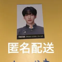 Item thumbnail for item e8eb4229-b84f-4b23-a5cb-14f3d9cbbba7