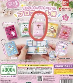 サンリオキャラクターズ プロフィール帳　シュガーバニーズ