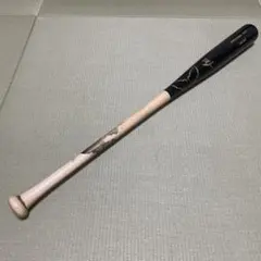 Item thumbnail for item d0e809e8-00d1-4629-b0c0-0a8325119306