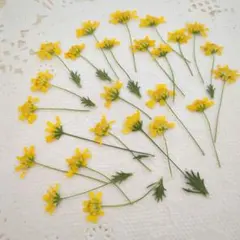 オリーブグリーン様 リクエスト 3点 まとめ商品