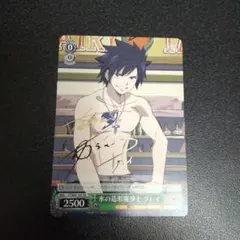 ヴァイスシュヴァルツ　TDサイン　氷の造形魔導士　グレイ　フェアリーテイル　WS 2025年最新】ヴァイス・シュヴァルツサイド：シュヴァルツサイド