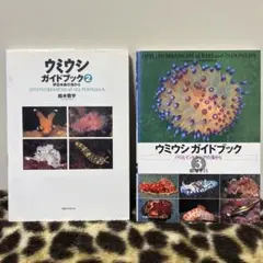 2025年最新】ウミウシ 本の人気アイテム - メルカリ