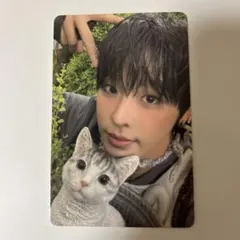 NCTWISH Color リク トレカ