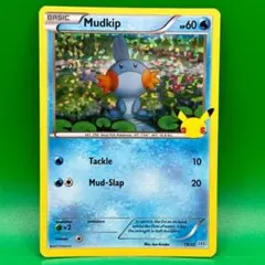 2025年最新】ミズゴロウ プロモの人気アイテム - メルカリ