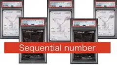 【希少】【PSA10 9】【連番】ゼクロムex レシラムex BWR