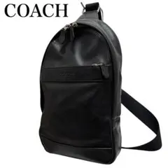 2026年最新】COACH メンズ ボディバッグ・ウエストポーチの人気