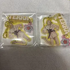 カリスマ カリスマガンボ オンラインくじ テラセット - メルカリ