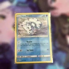 アローラロコン PROMO SMプロモカード SM-P 英語