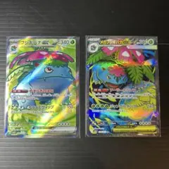 コレクション整理　フシギバナex SR メガフシギバナex SR
