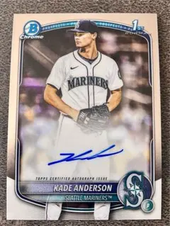 Item thumbnail for item 05dcb25e-995d-4961-8a27-31e11417dcd1