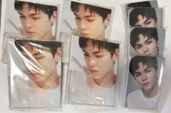 seventeen バーノン バインダー トレカ セット