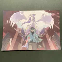 ポケモンギャラリーコレクション ポストカード ポケモンセンター 杉森