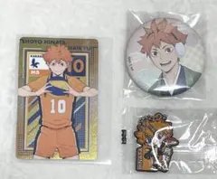 ハイキュー 日向翔陽 和紙風缶バッジ キーホルダー メタリックカード