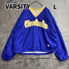 90s VANTAGE カレッジ ナイロンプルオーバー M Y2K キャロル大学 