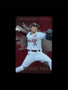 Item thumbnail for item f58c22e2-1651-474e-a9c1-b3eb374ca3be