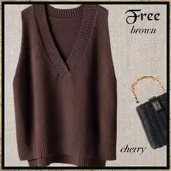 ベスト ジレ レディース ニット ブラウン Vネック フリーサイズ 着回し